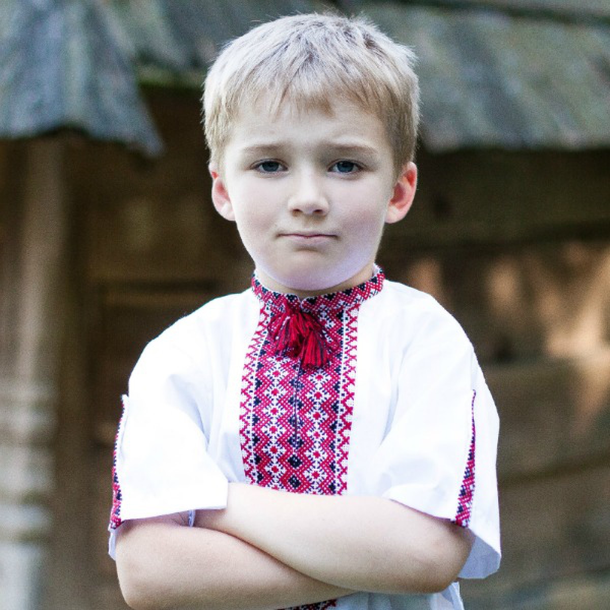 Clothing for boys, embroidered shirt, embroidered t-shirt, ukrainian t ...