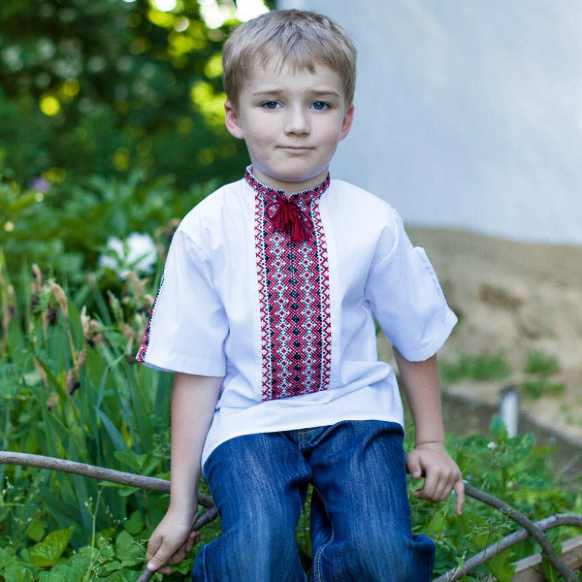 Clothing for boys, embroidered shirt, embroidered t-shirt, ukrainian t ...