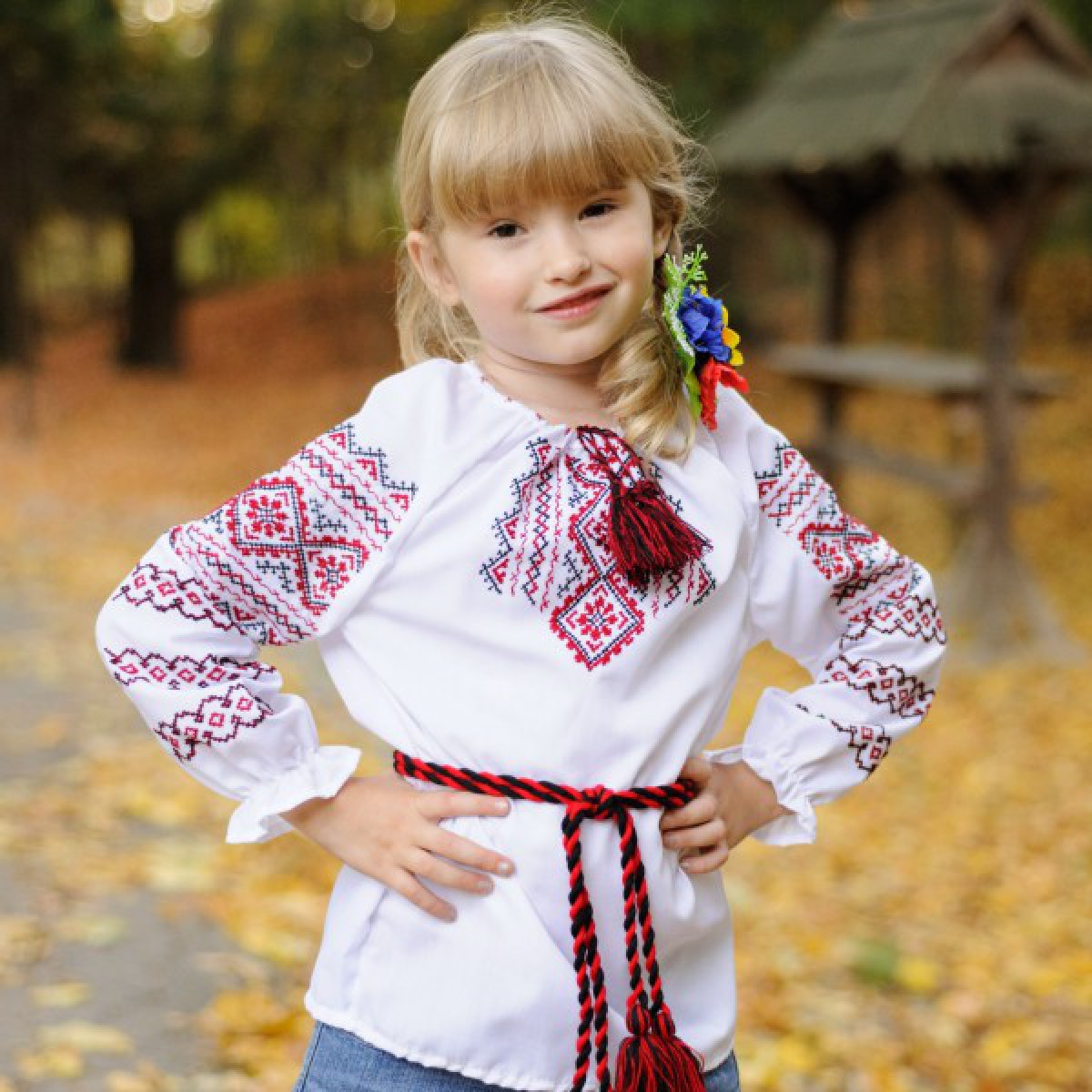 Clothing for girls, embroidered shirt, embroidered t-shirt, ukrainian t ...